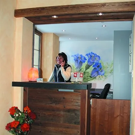 Silvana Mountain Otel Zermatt